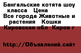 Бангальские котята шоу класса › Цена ­ 25 000 - Все города Животные и растения » Кошки   . Кировская обл.,Киров г.